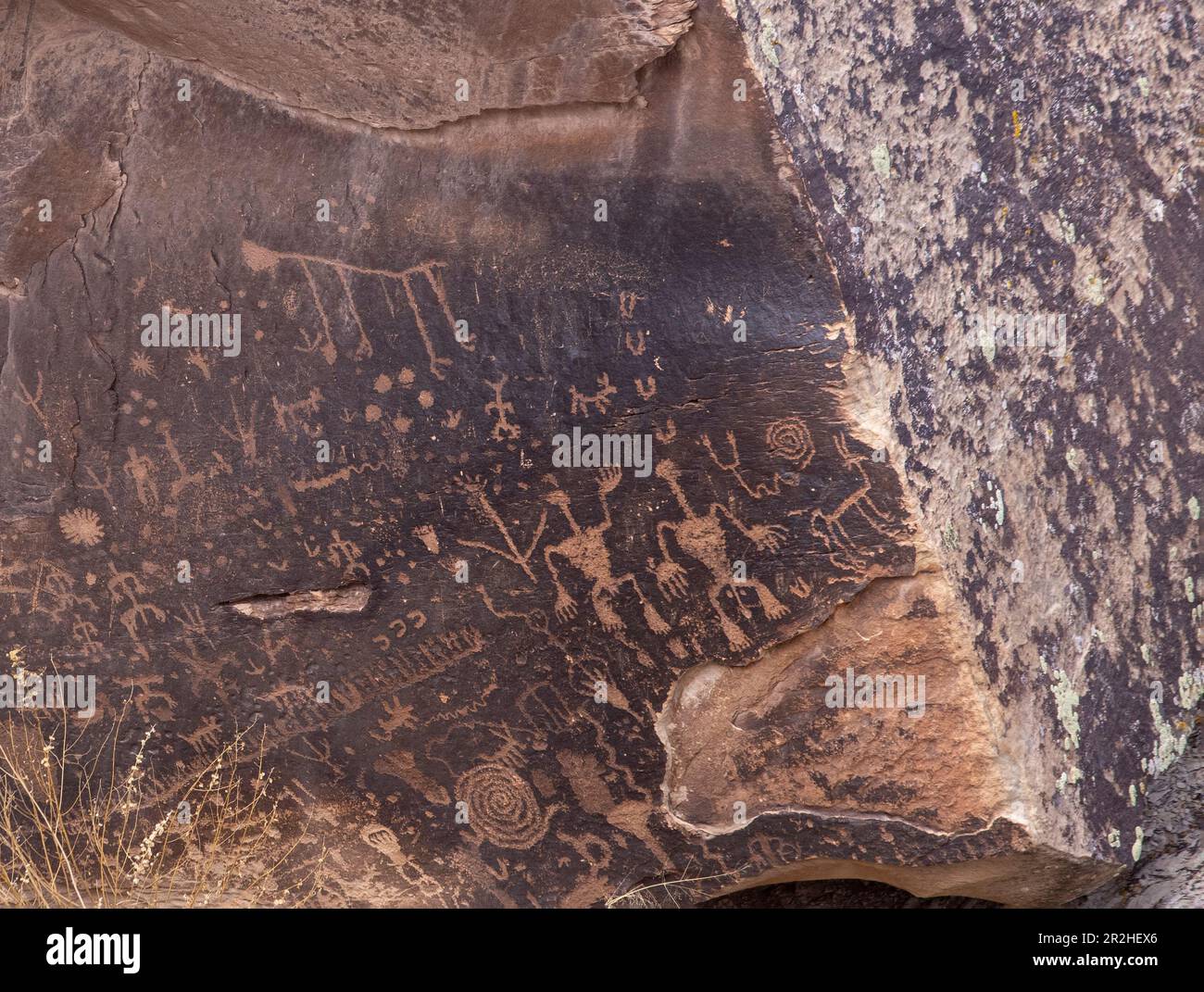 Petrified Forest National Park ist ein amerikanischer Nationalpark im Nordosten Arizonas. Stockfoto
