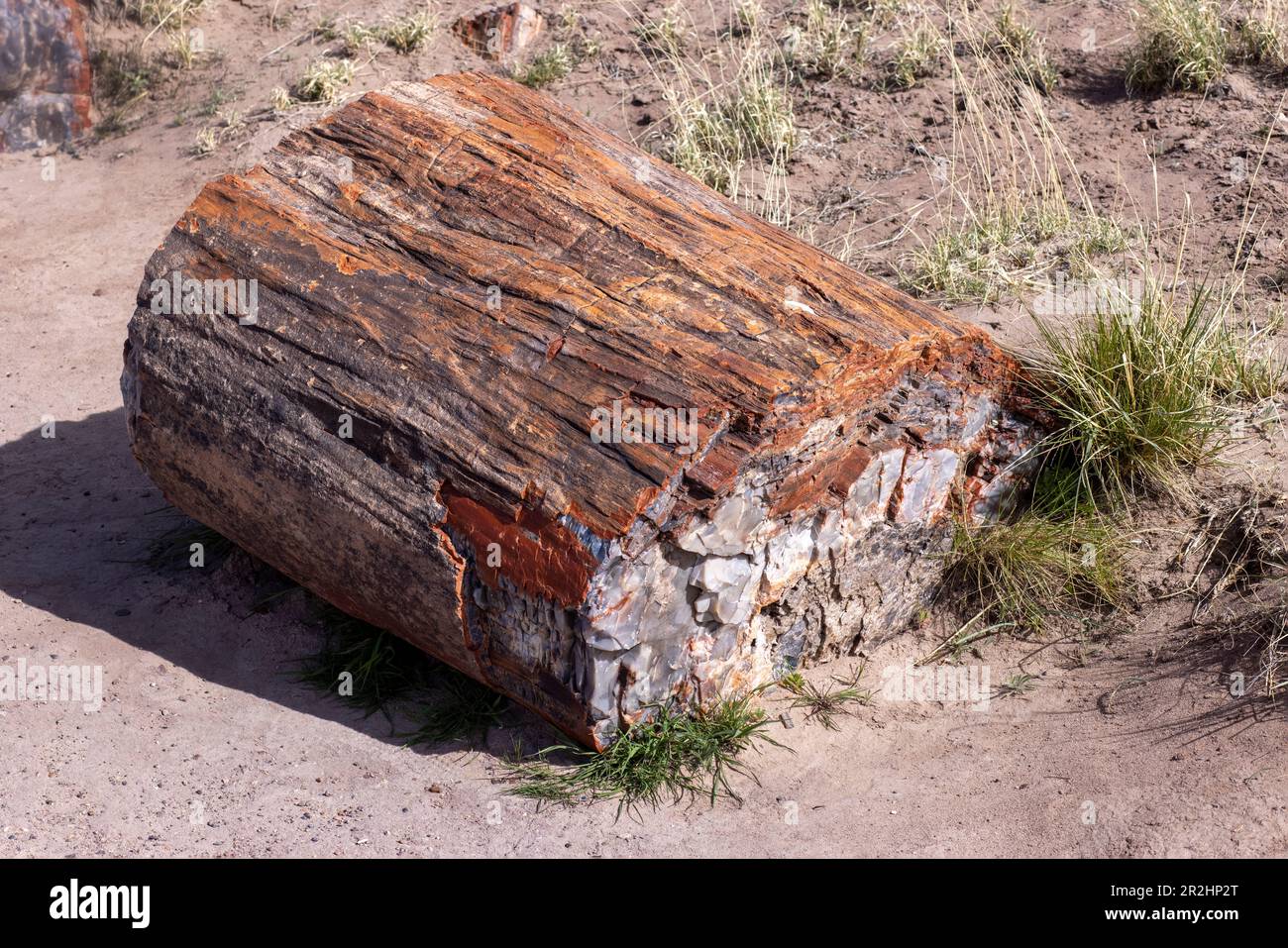 Petrified Forest National Park ist ein amerikanischer Nationalpark im Nordosten Arizonas. Stockfoto