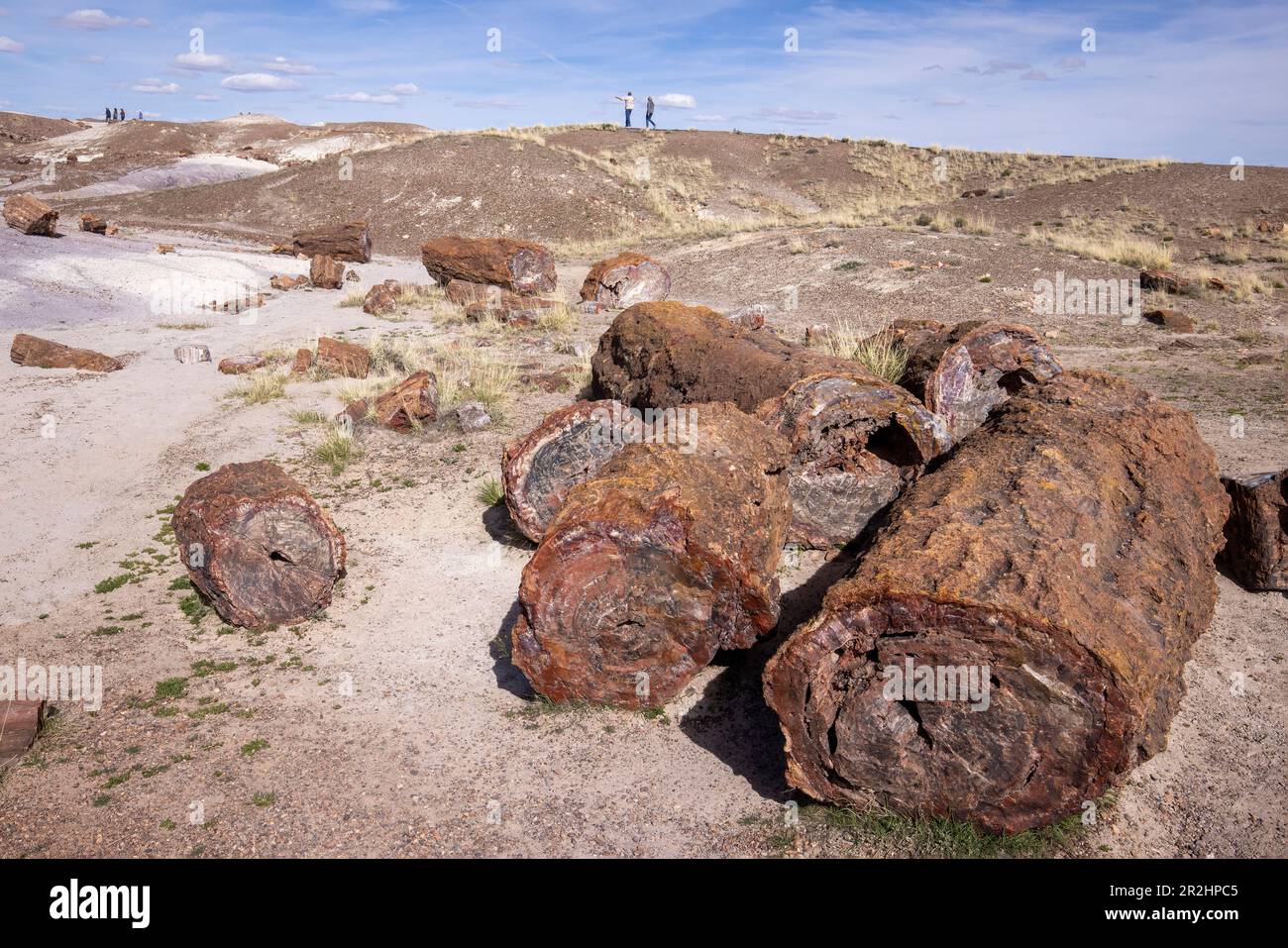 Petrified Forest National Park ist ein amerikanischer Nationalpark im Nordosten Arizonas. Stockfoto