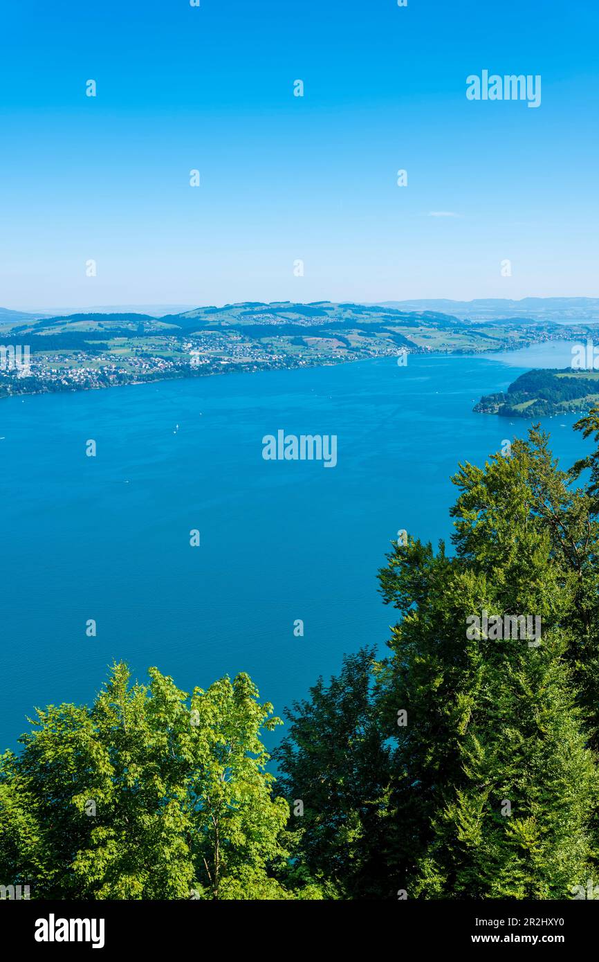 Blick aus der Vogelperspektive auf den Vierwaldstättersee und den Berg in Burgenstock, Nidwalden, Schweiz. Stockfoto