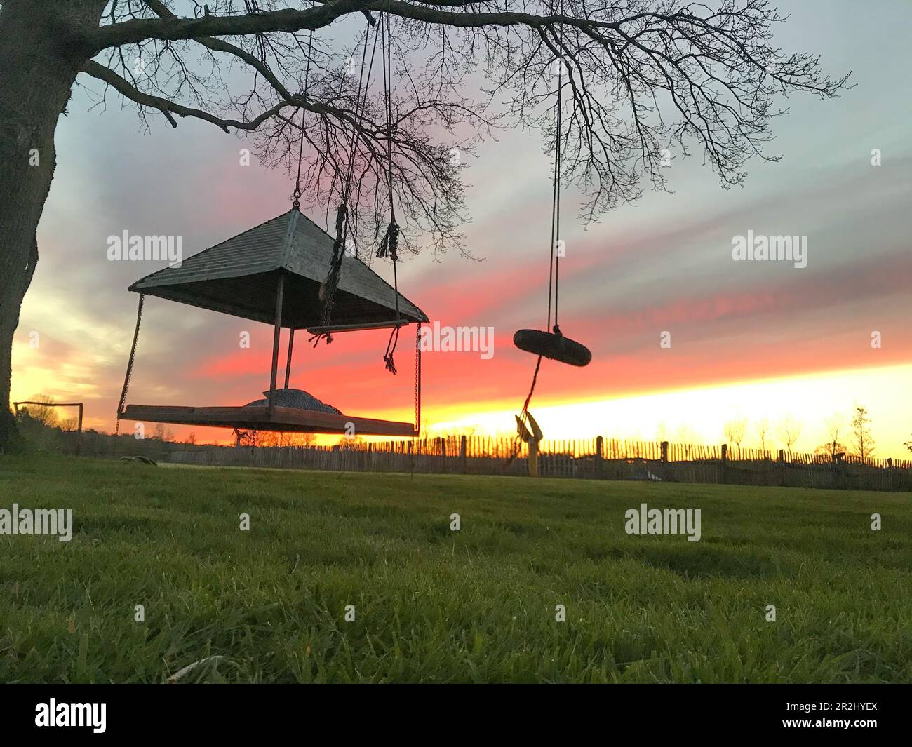 Plattform hängt in der untergehenden Sonne von einem Baum. Stockfoto