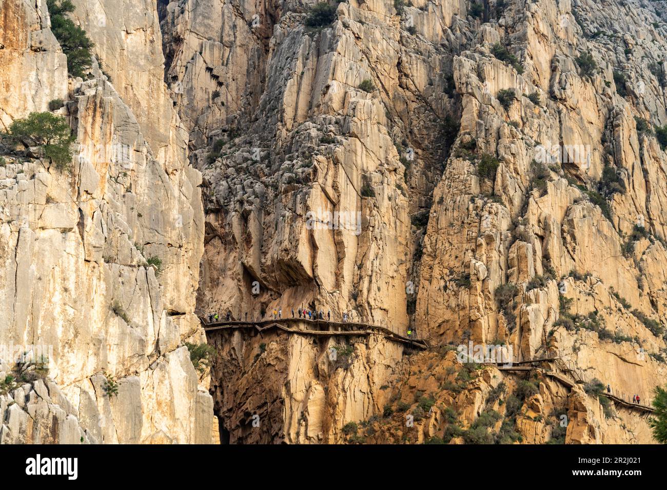 Via ferrata Caminito del Rey hoch in den Felsen von El Chorro, Andalusien, Spanien Stockfoto