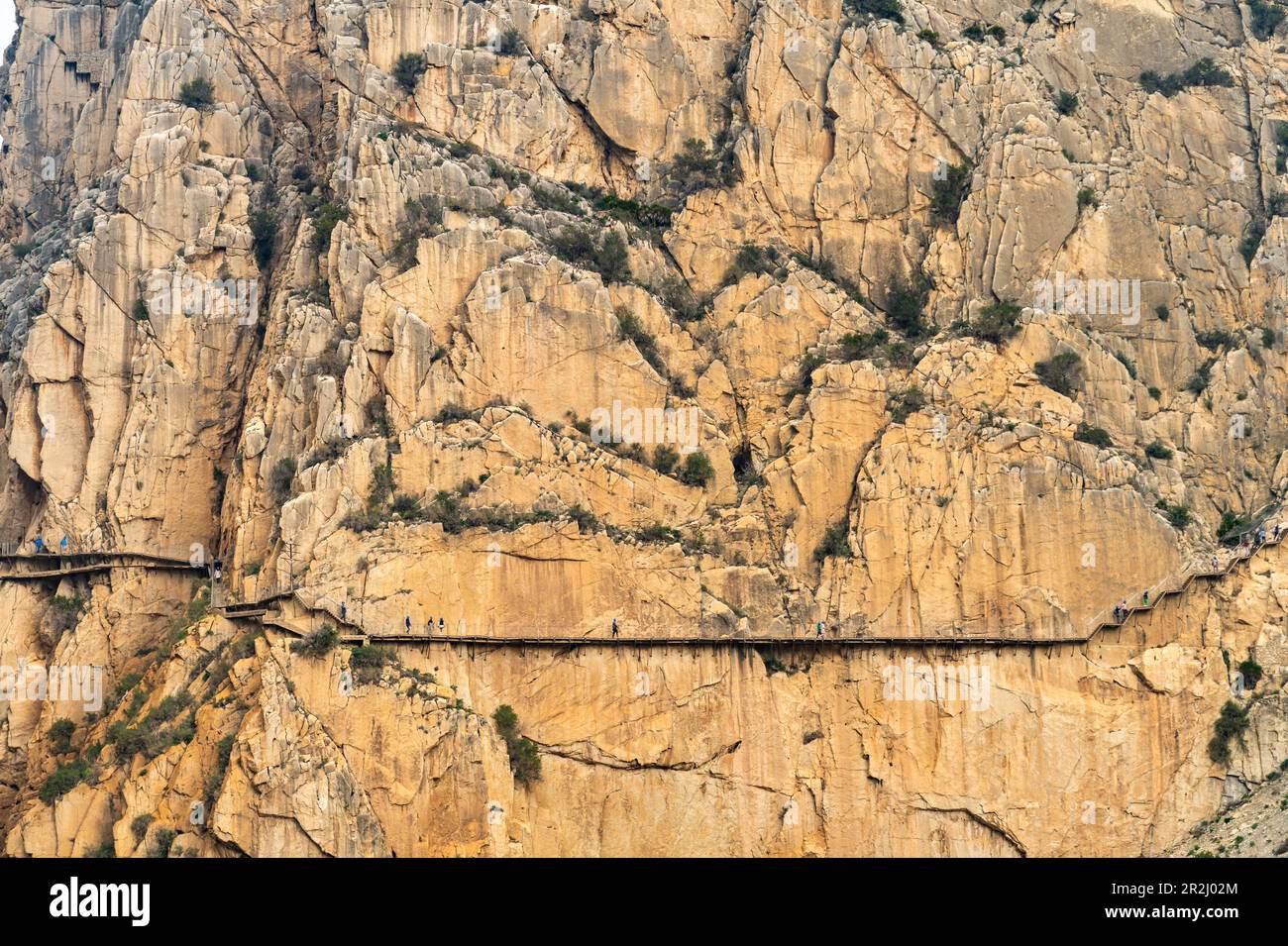 Via ferrata Caminito del Rey hoch in den Felsen von El Chorro, Andalusien, Spanien Stockfoto