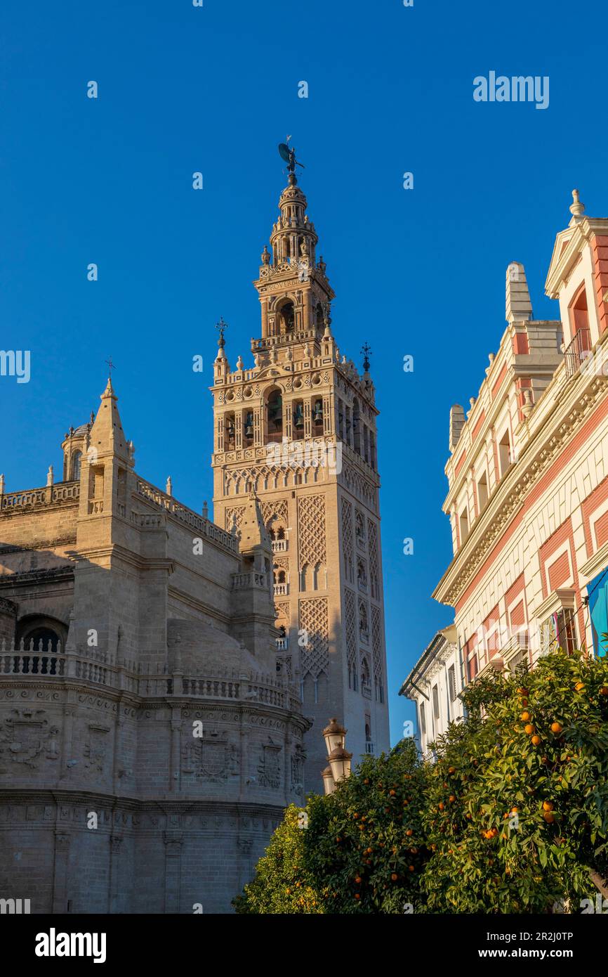 Kathedrale von Sevilla, UNESCO-Weltkulturerbe, Sevilla, Andalusien, Spanien, Europa Stockfoto