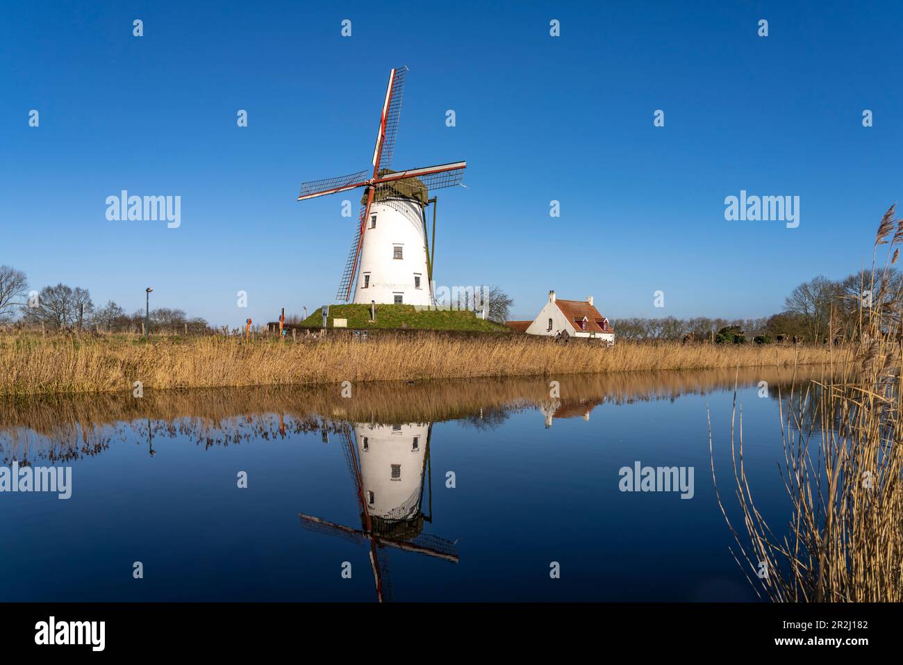 Windmühle de Schellemolen in Damme, Westflandern, Belgien, Europa Stockfoto