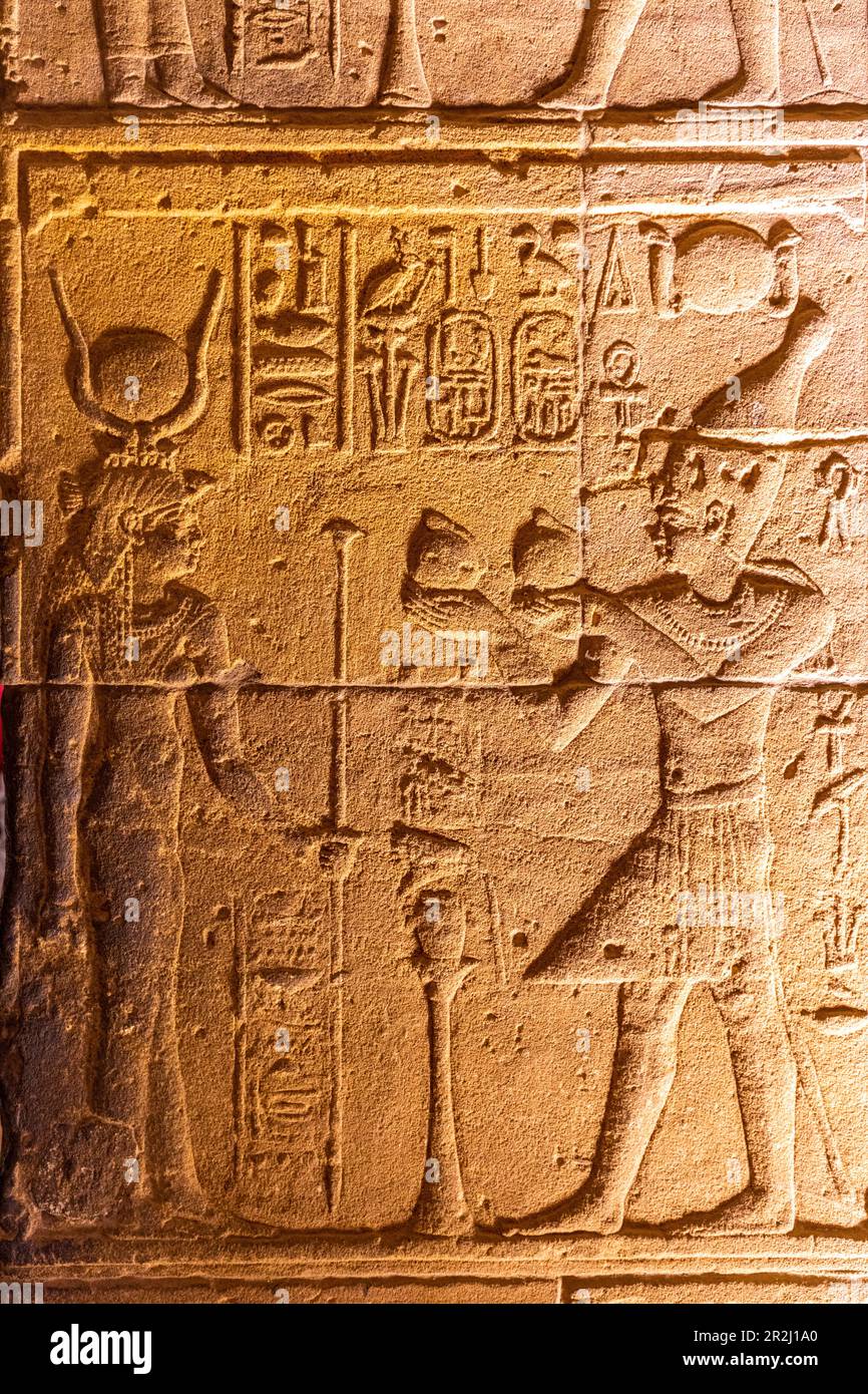 Steinschnitzereien und Hieroglyphen im Heiligtum am Tempel der Isis, dem Tempelkomplex von Philae, UNESCO, Agilkia Island, Assuan, Ägypten, Nordafrika Stockfoto