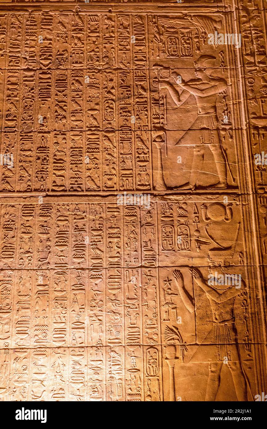 Steinschnitzereien und Hieroglyphen im Heiligtum, dem Tempel der Isis, dem Tempelkomplex von Philae, UNESCO, Agilkia Island, Assuan, Ägypten, Nordafrika, Afrika Stockfoto