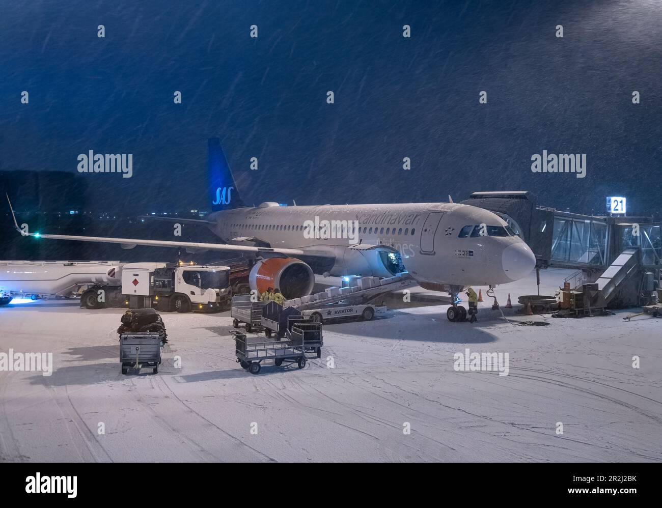 SAS Scandinavian Airlines System Airbus A320 BEI schwerem Schnee am Flughafen Tromso, Tromso, Norwegen, Skandinavien, Europa Stockfoto