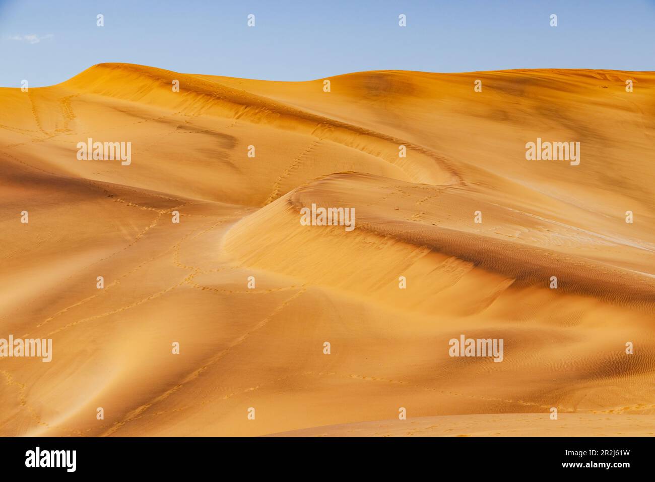 Sanddünen und Sandstrecken mit Mustern und Sandwellen in der Namibwüste Namibias, Afrika Stockfoto