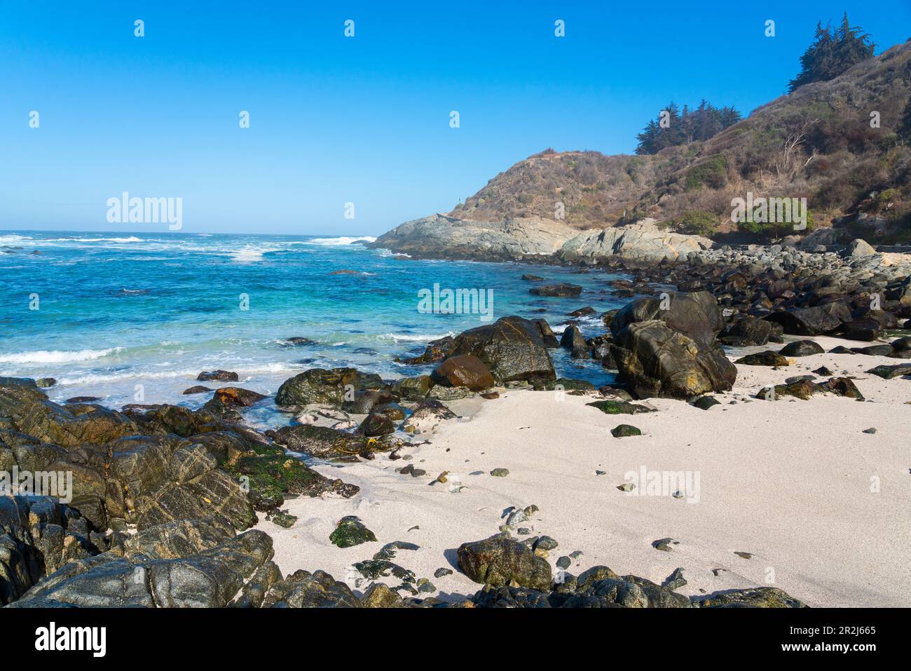 Las Cujas Beach, Cachagua, Zapallar, Petorca Province, Valparaiso Region, Chile, Südamerika Stockfoto