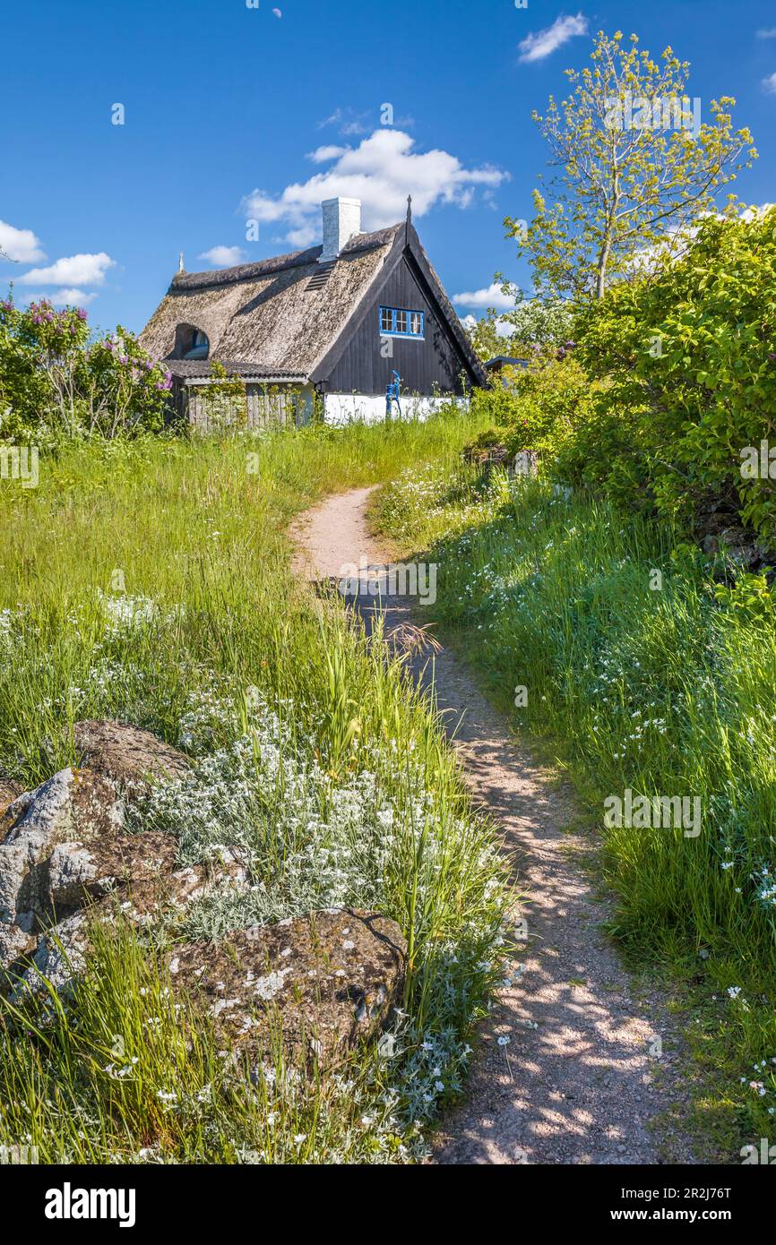 Strohgedeckte Hütte an der Küste in Bornholm, Dänemark Stockfoto