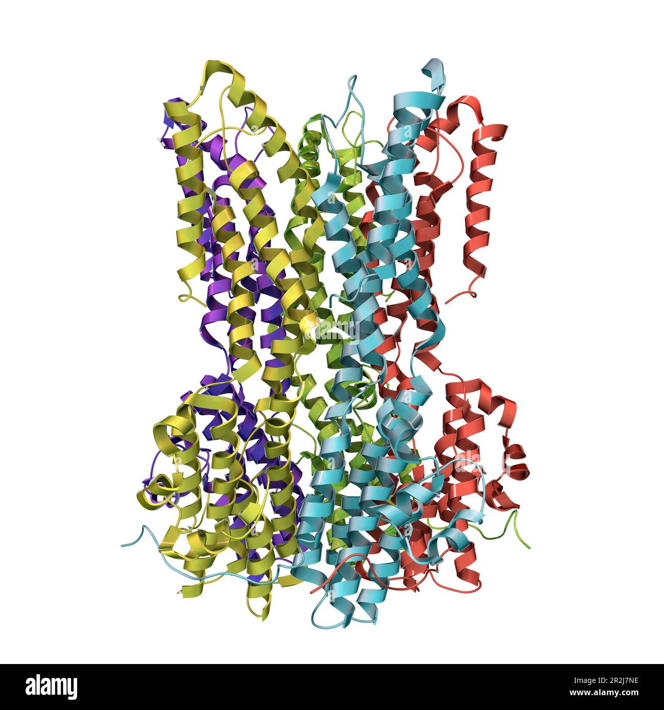 Bestrophin-1-Proteinmolekül, Illustration Stockfoto