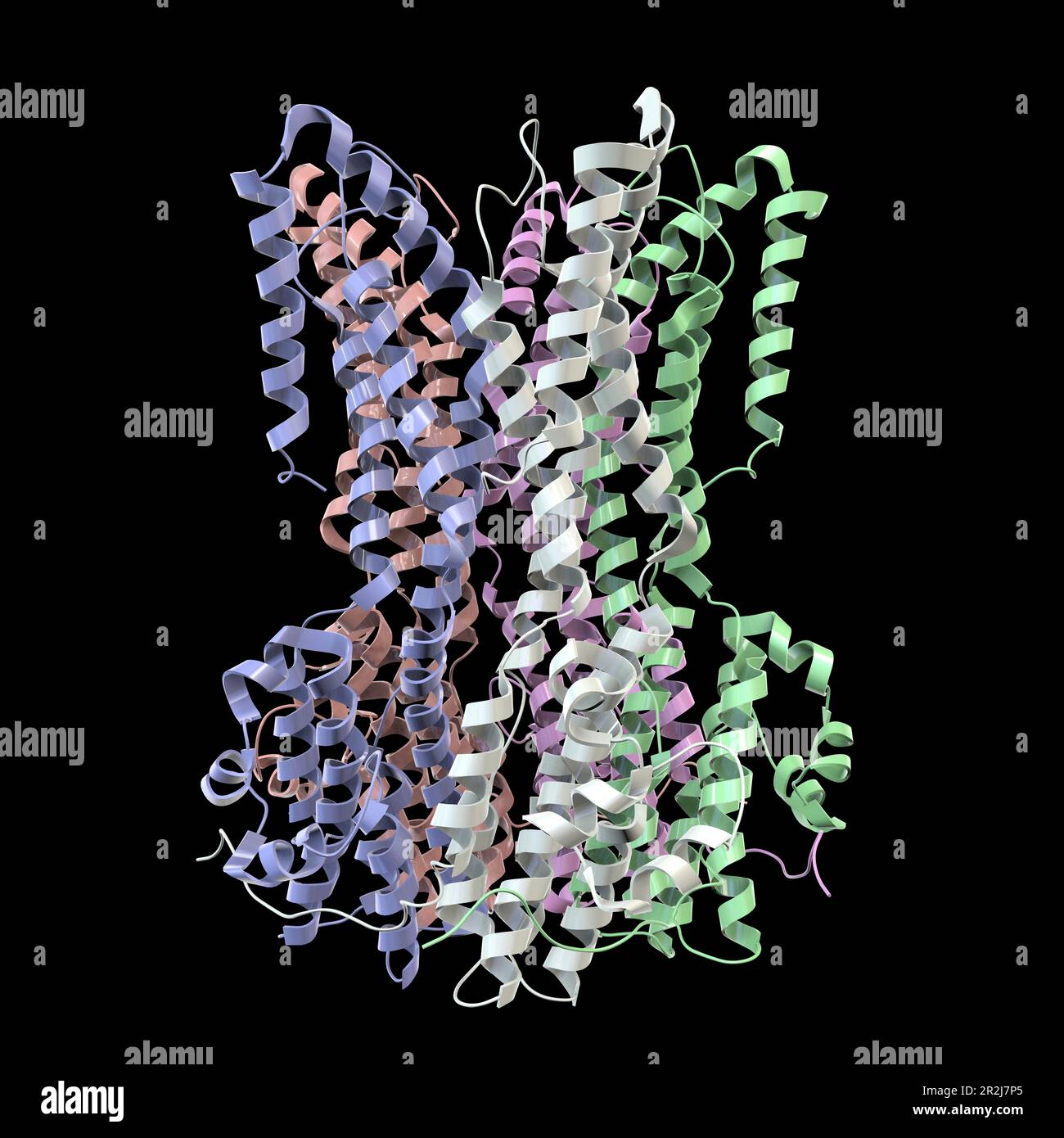 Bestrophin-1-Proteinmolekül, Illustration Stockfoto