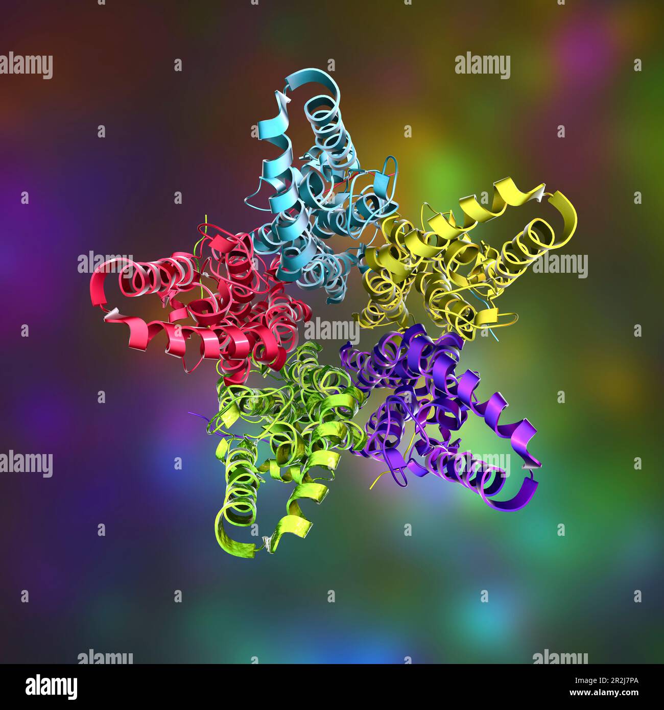 Molekularmodell des Proteins Bestrophin-1 (BEST 1), Computerdarstellung. Dieses Protein ist für die Regulierung der Calciumsignalisierung in den Zellen verantwortlich. Mutat Stockfoto