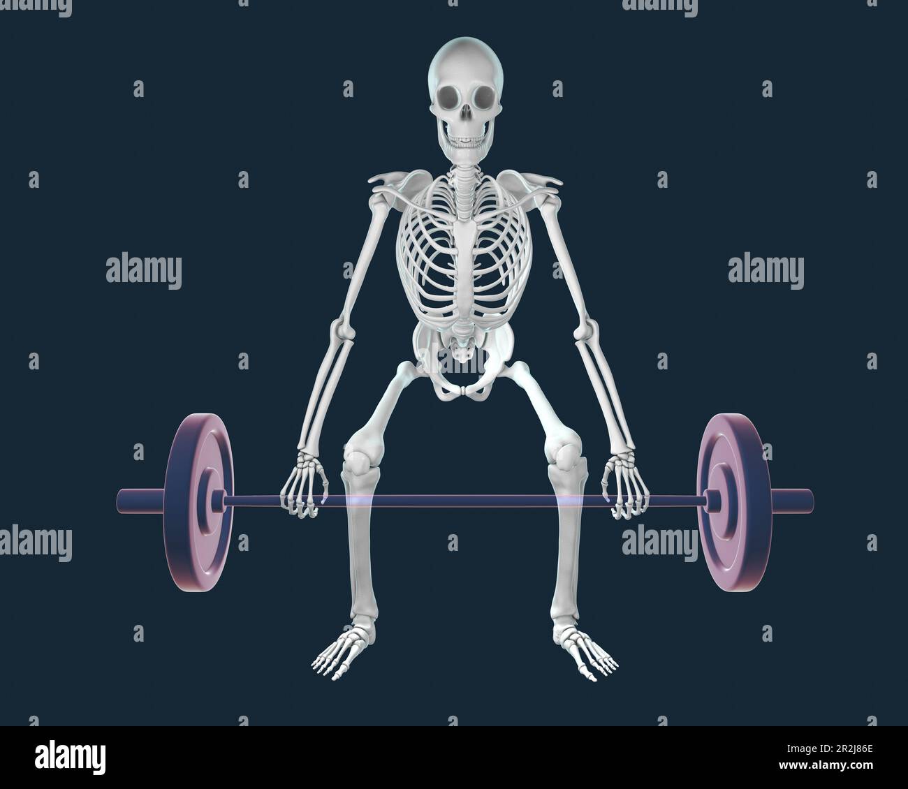 Menschliches Skelett, das eine Hantel hebt, Illustration Stockfoto
