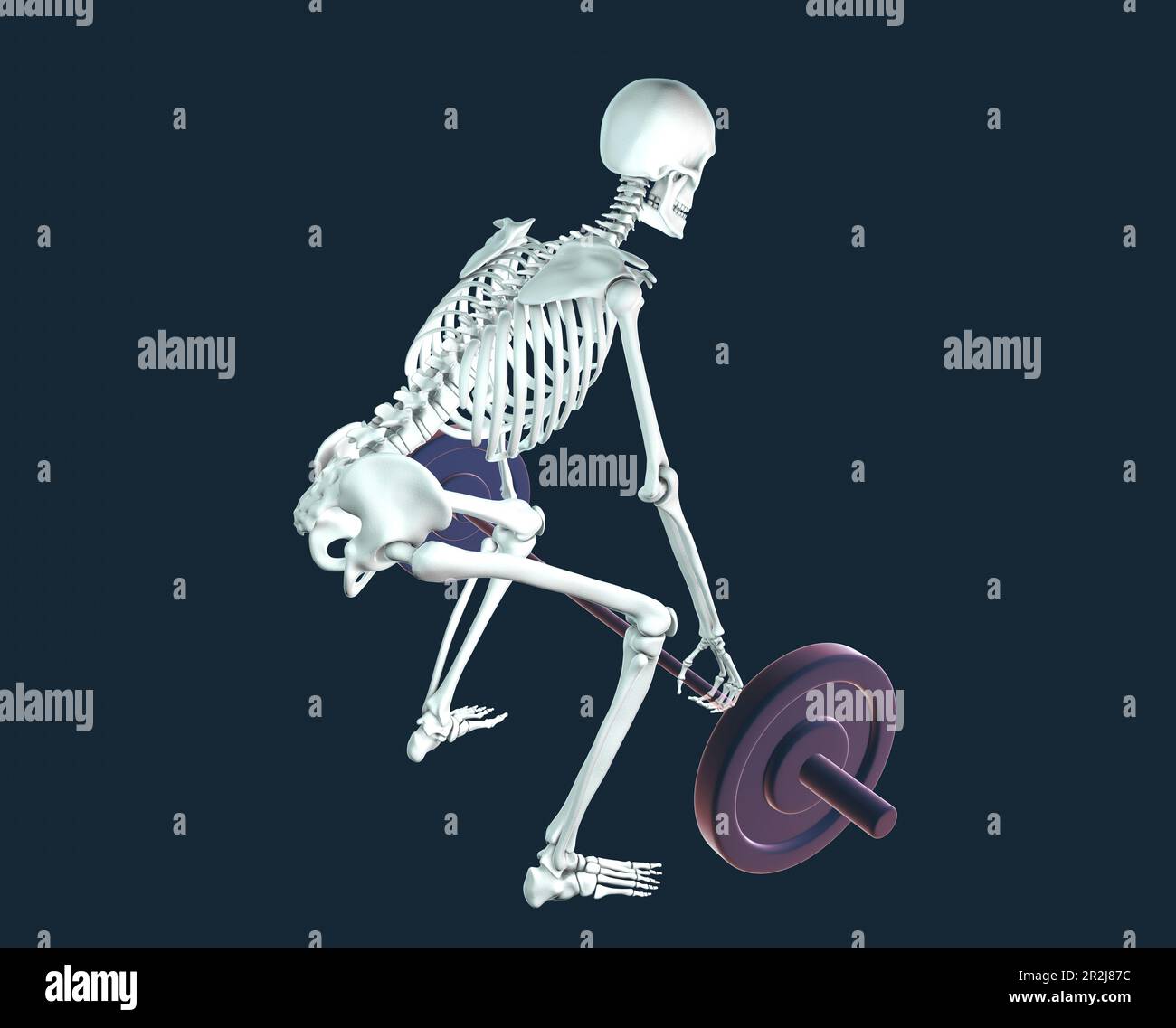 Menschliches Skelett, das eine Hantel hebt, Illustration Stockfoto
