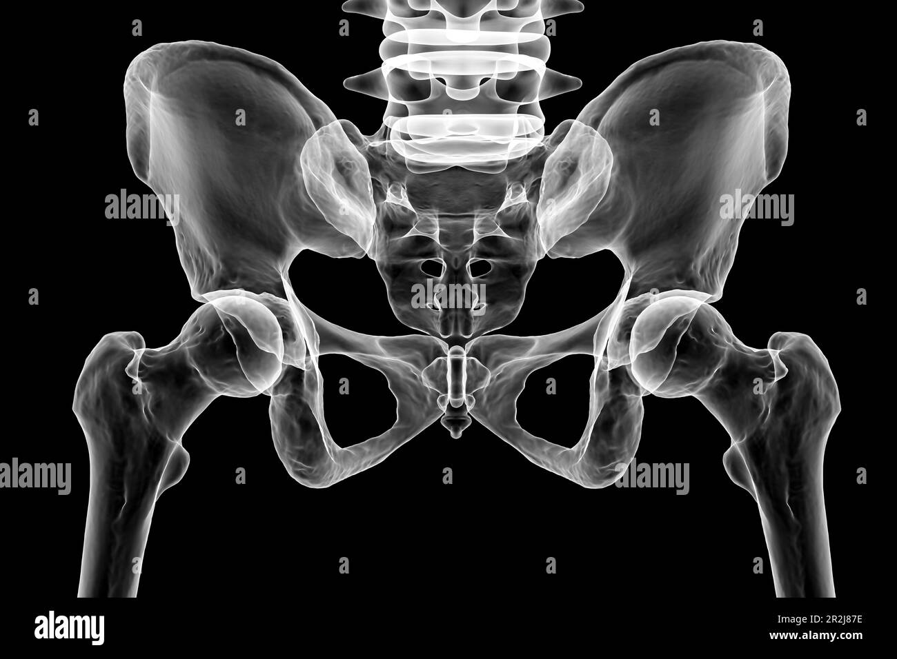 Anatomie der Beckenknochen, Illustration Stockfoto