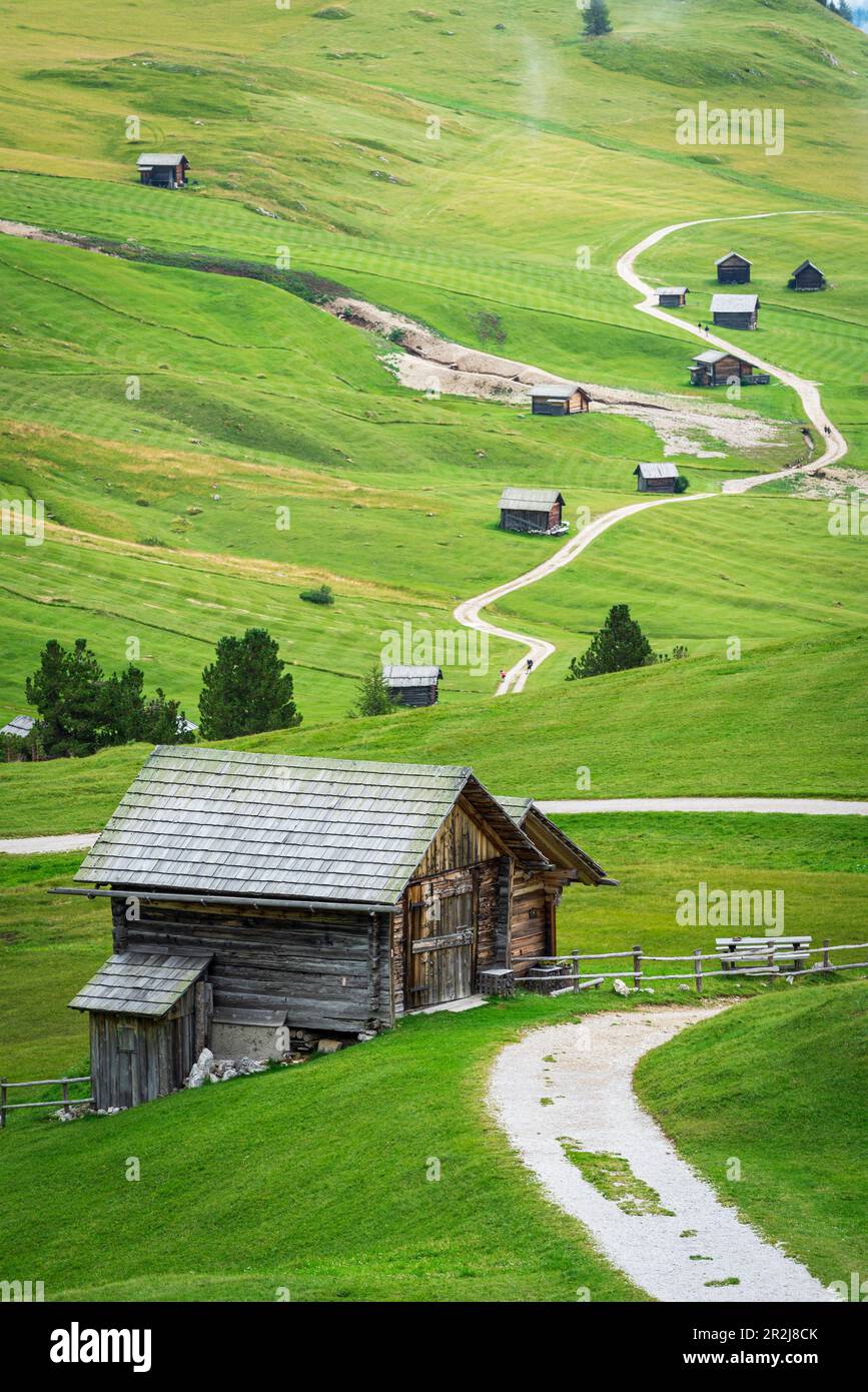 Typische alpine Holzhütten auf grünen Feldern, Dolomiten, Puez Odle, Bozen, Südtirol, Italien, Europa Stockfoto