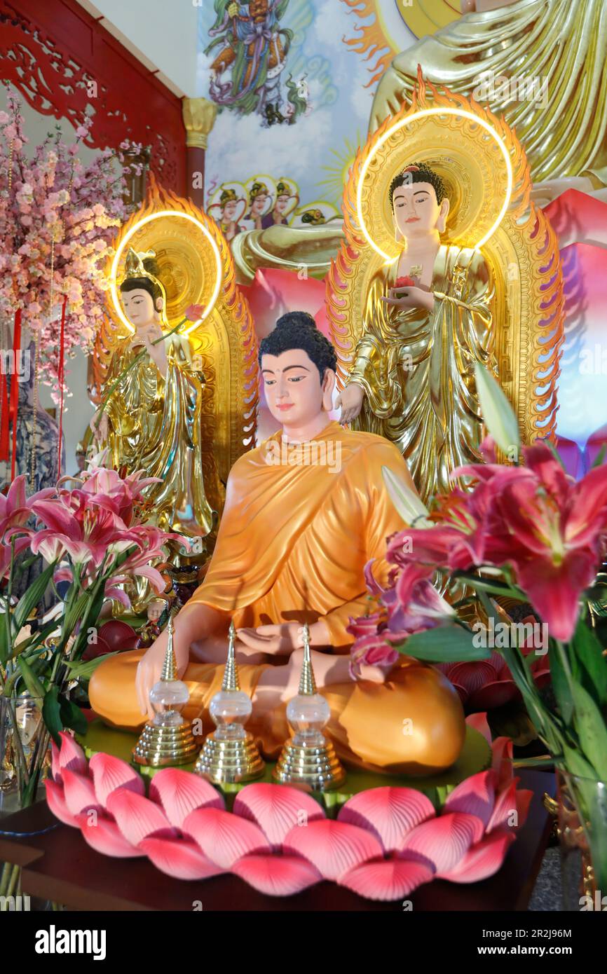 Hauptaltar, Phu Son TU buddhistischer Tempel, Shakyamuni Buddha Statue, Tan Chau, Vietnam, Indochina, Südostasien, Asien Stockfoto