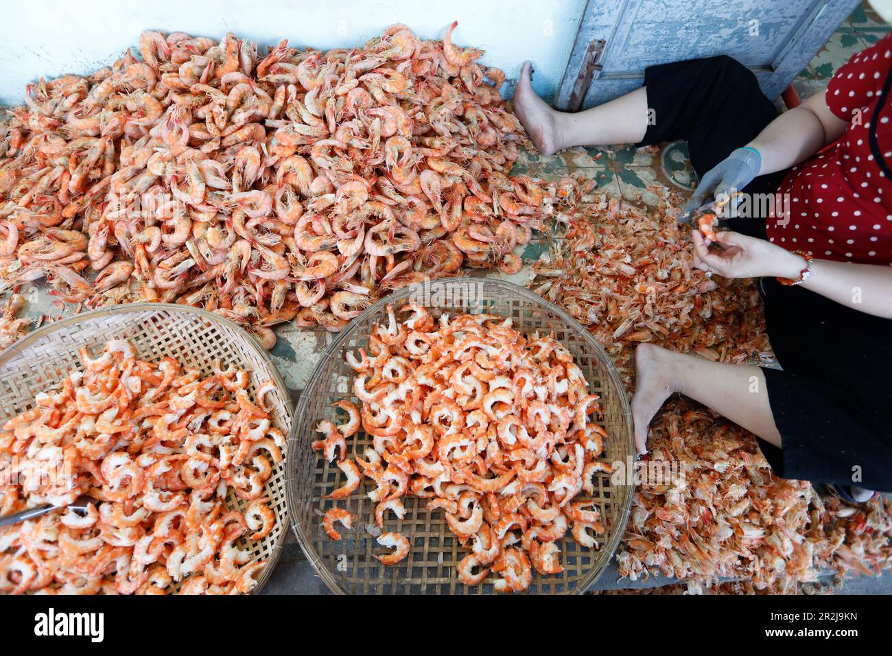 Frau bei der Arbeit in einer Seefutterfabrik, getrocknete Garnelen, Vung Tau, Vietnam, Indochina, Südostasien, Asien Stockfoto