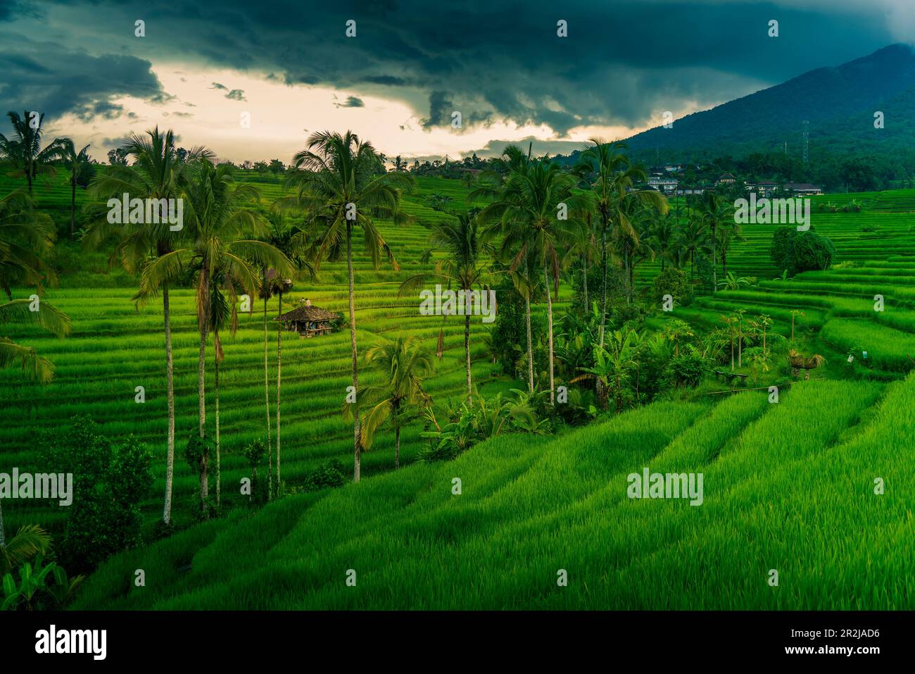 Blick auf Sidemen Reisterrasse, Sidemen, Kabupaten Karangasem, Bali, Indonesien, Südostasien, Asien Stockfoto