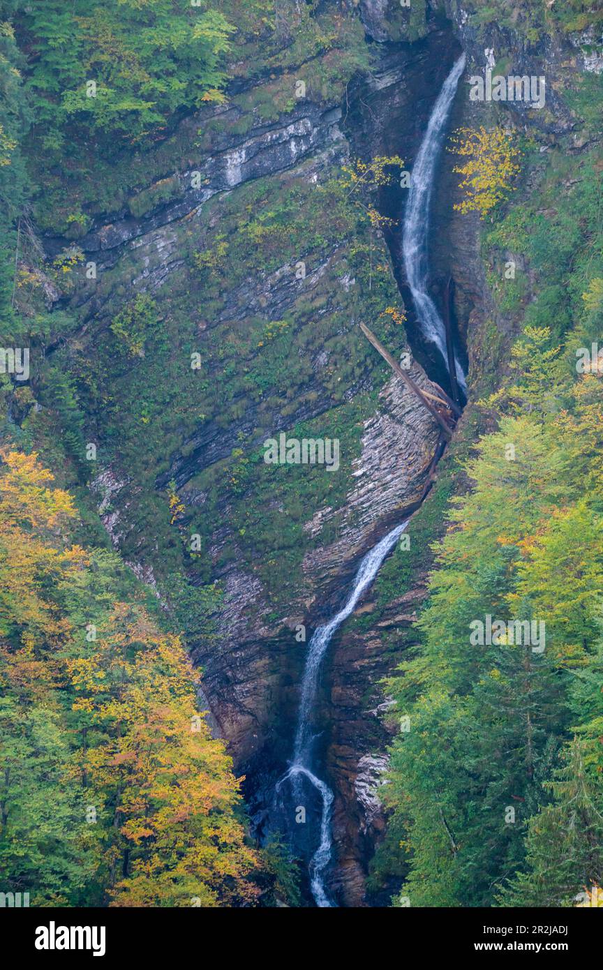 Wasserfall in der Postalm im Herbst, Oberösterreich, Österreich Stockfoto