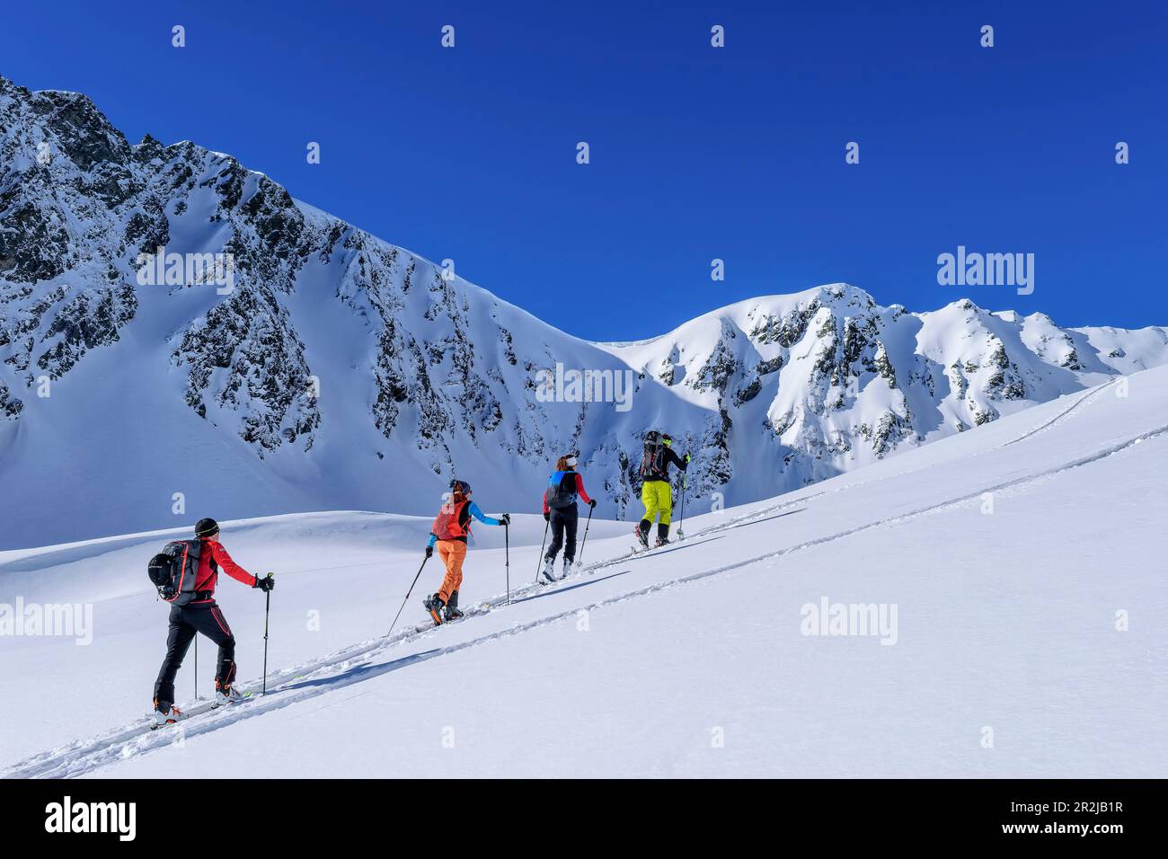 Vier Personen auf einer Skitour hinauf zu den Kellerjoch, Kellerjoch, Zillertal, Hochfügen, Tux Alps, Tirol, Österreich Stockfoto