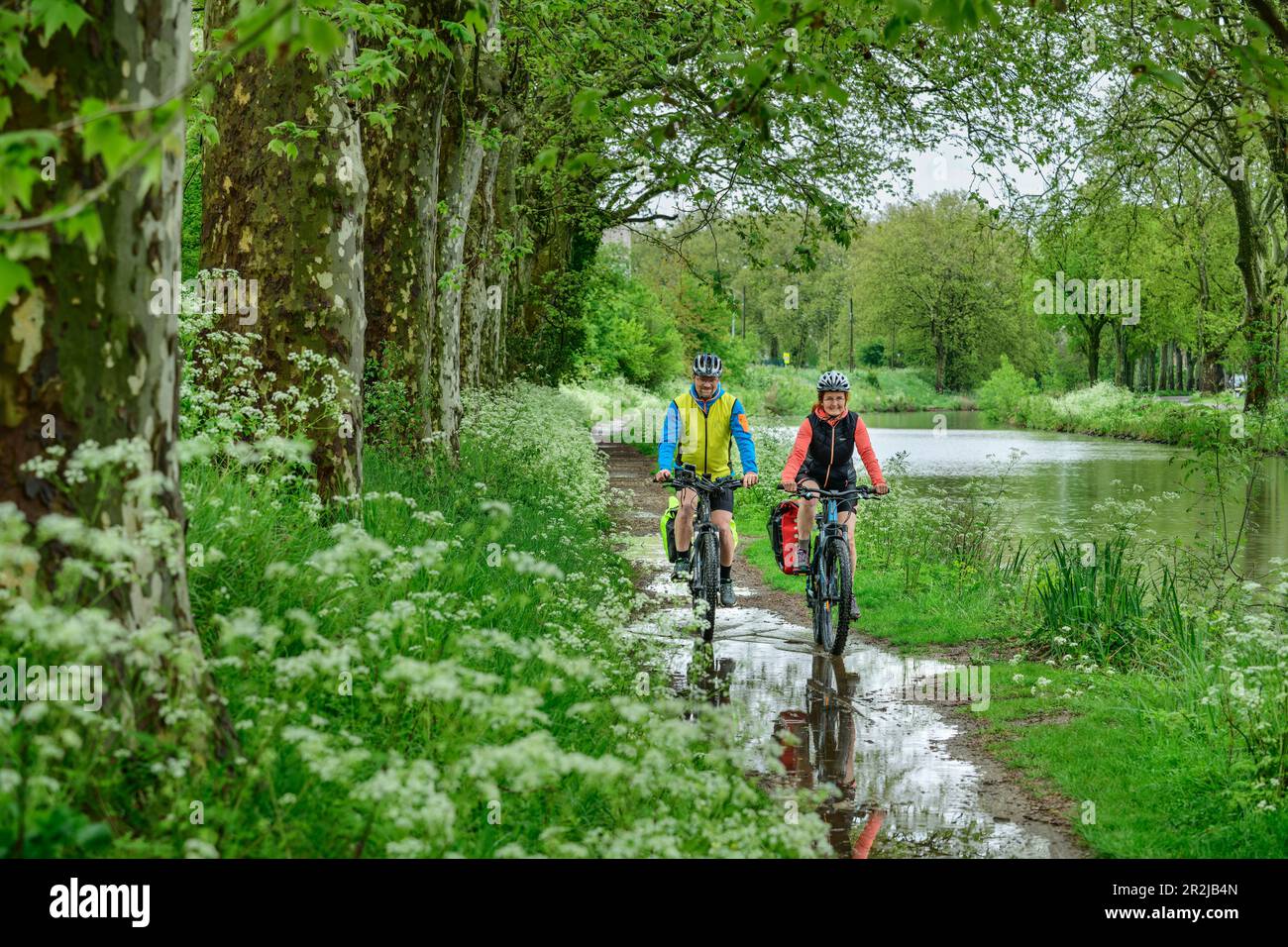 Zwei Radfahrer entlang des Canal du Midi, in der Nähe von Carcassonne, Canal du Midi, Canal du Midi, UNESCO-Weltkulturerbe Canal du Midi, Okzitania, Frankreich Stockfoto