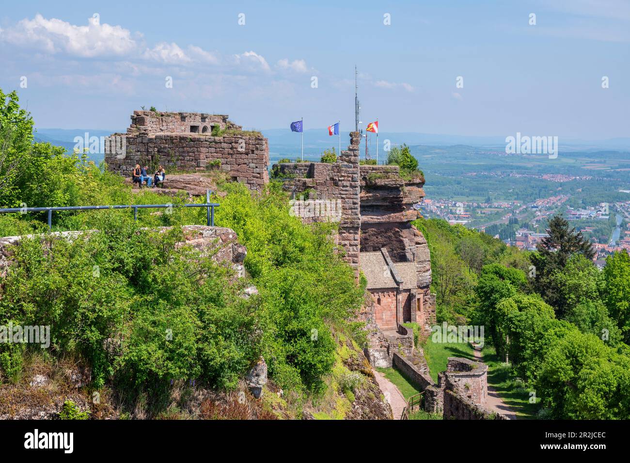 Schloss Hohbarr bei Saverne, Bas-Rhin, Elsass, Grand Est, Elsass-Champagne-Ardenne-Lothringen, Frankreich Stockfoto
