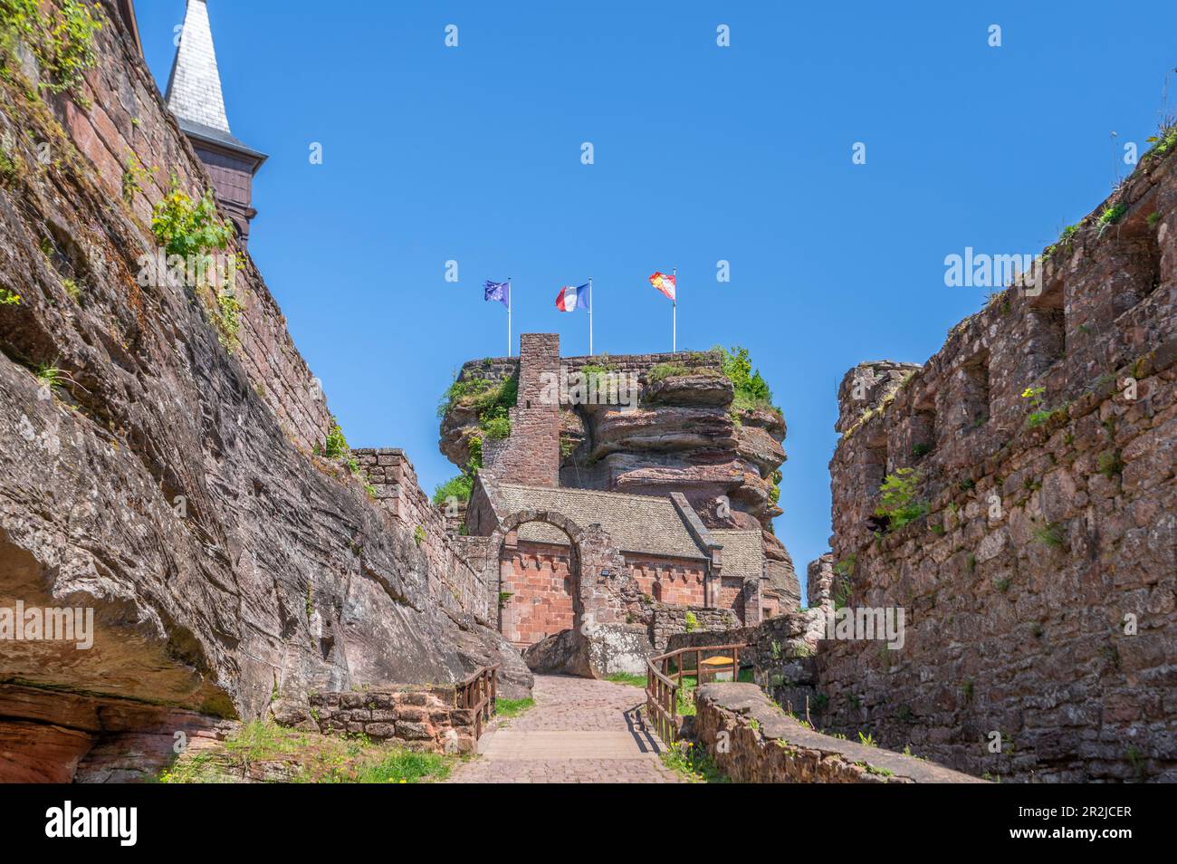 Schloss Hohbarr bei Saverne, Bas-Rhin, Elsass, Grand Est, Elsass-Champagne-Ardenne-Lothringen, Frankreich Stockfoto