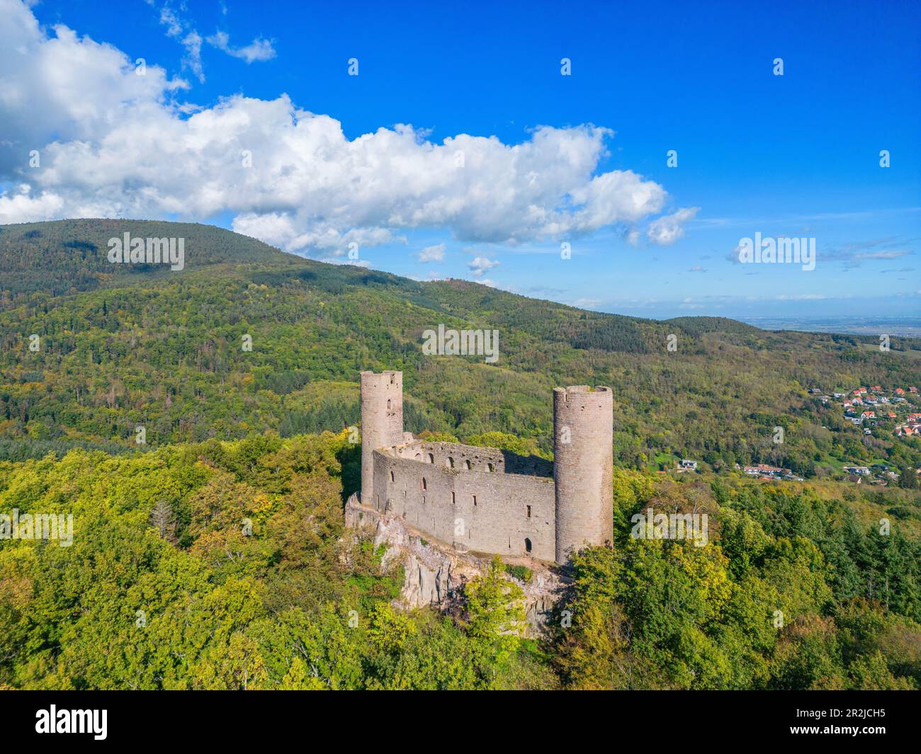 Burg Hoh-Andlau, Château du Haut-Andlau, Andlau, Bas-Rhin, Vogesen, Route des Vins d'Alsace, Elsass Weinstraße, Grand Est, Elsass-Champagne-Ardenne-L. Stockfoto