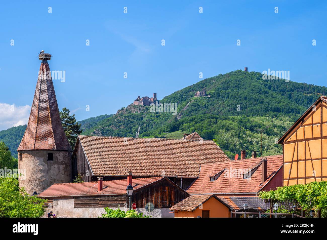 Blick auf Ribeauville mit St. Schloss Ulrich, Château de St. Schloss Ulrich und Girsberg, Rappoltsweiler, Haut-Rhin, Route des Vins d'Alsace, Elsässer Wein Stockfoto