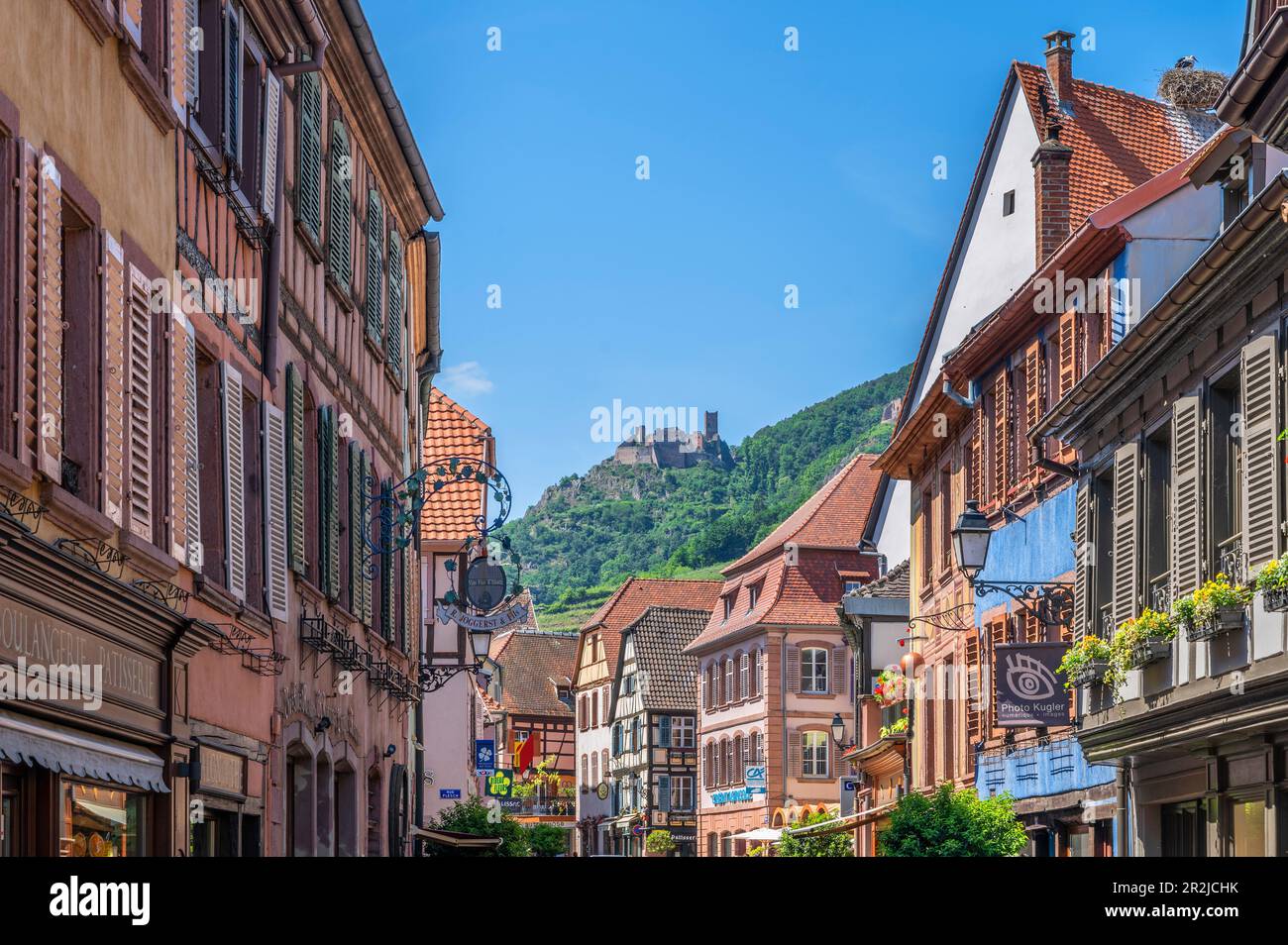 Gasse in Ribeauville mit St. Schloss Ulrich, Château de St. Ulrich, Rappoltsweiler, Haut-Rhin, Route des Vins d'Alsace, Elsässer Weinstraße, Grand Est Stockfoto
