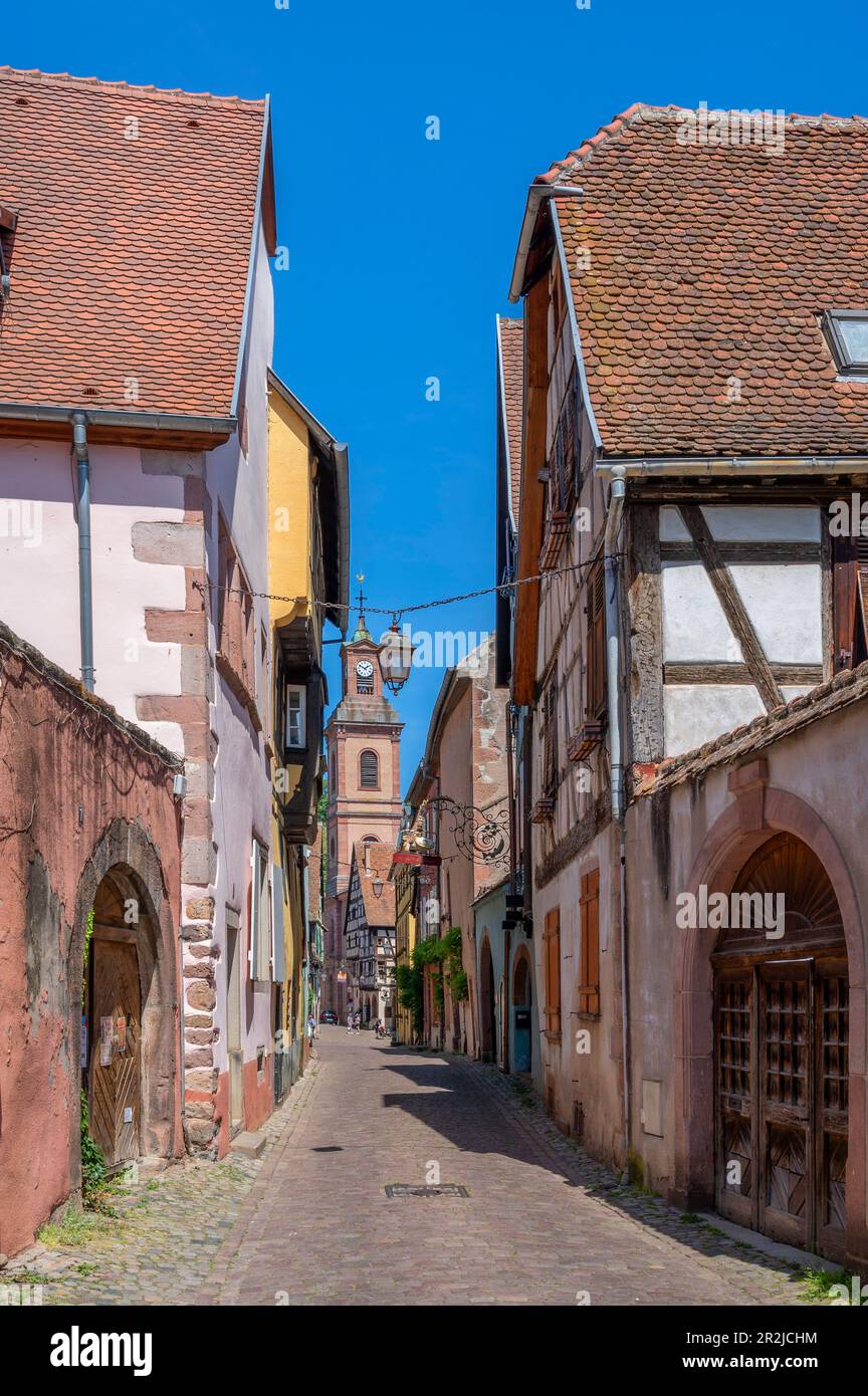 Allee in Riquewihr, Reichenweier, Haut-Rhin, Route des Vins d'Alsace, Elsass Weinstraße, Grand Est, Elsass-Champagne-Ardenne-Lothringen, Frankreich Stockfoto