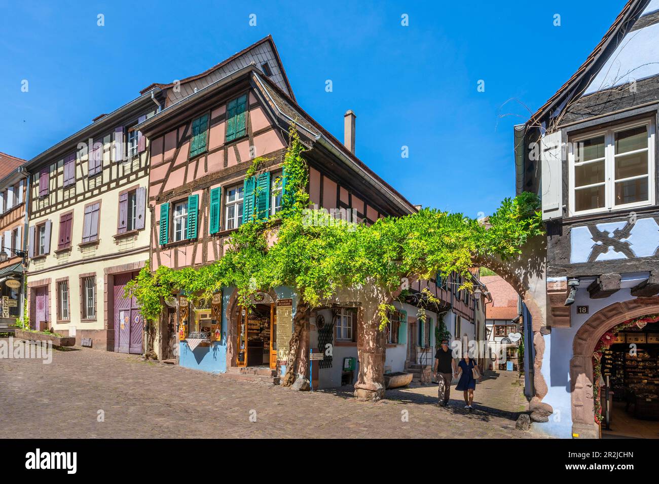 Allee in Riquewihr, Reichenweier, Haut-Rhin, Route des Vins d'Alsace, Elsass Weinstraße, Grand Est, Elsass-Champagne-Ardenne-Lothringen, Frankreich Stockfoto