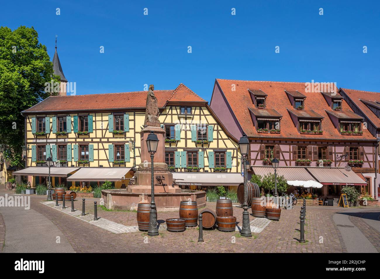 Allee in Ribeauville, Rappoltsweiler, Haut-Rhin, Route des Vins d'Alsace, Elsass Weinstraße, Grand Est, Elsass-Champagne-Ardenne-Lothringen, Frankreich Stockfoto