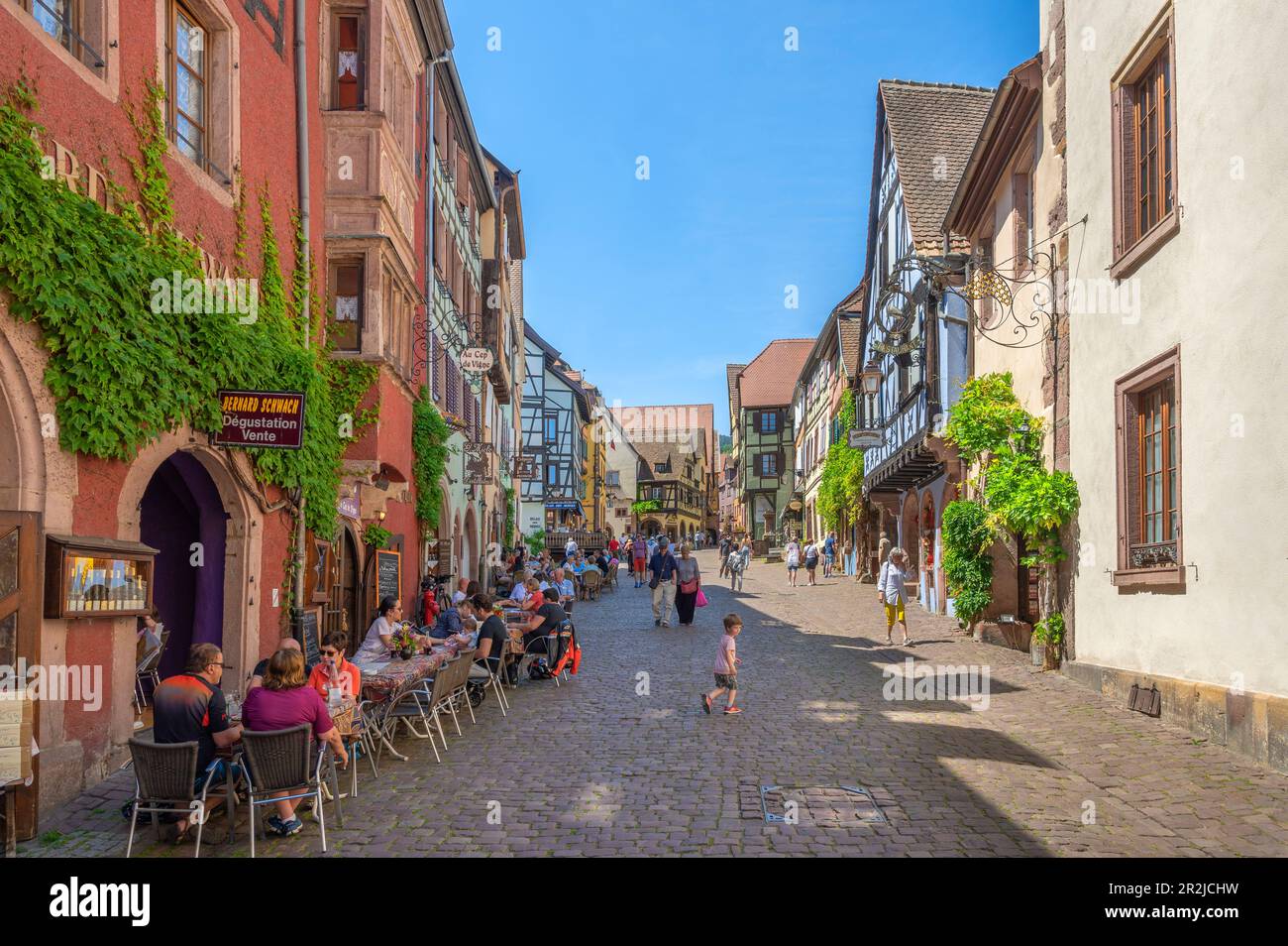 Allee in Riquewihr, Reichenweier, Haut-Rhin, Route des Vins d'Alsace, Elsass Weinstraße, Grand Est, Elsass-Champagne-Ardenne-Lothringen, Frankreich Stockfoto