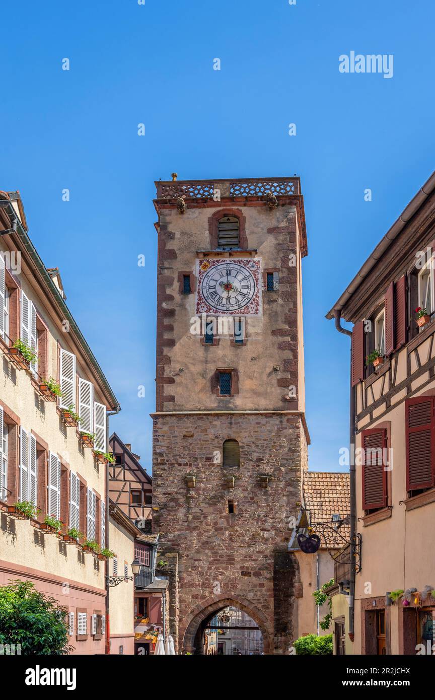Tour des Bouchers, Grand Rue, Ribeauville, Rappoltsweiler, Haut-Rhin, Route des Vins d'Alsace, Elsass Weinstraße, Grand Est, Elsass-Champagne-Ardenne- Stockfoto