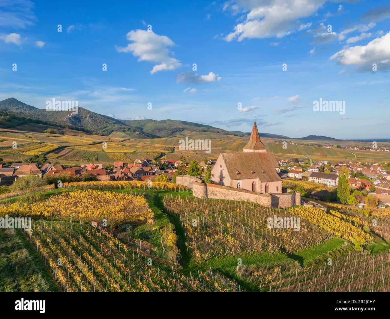 Weinbaudorf Hunawihr mit der befestigten Kirche St. Jacques, Hunawihr, Haut-Rhin, Route des Vins d'Alsace, Elsässer Weinstraße, Grand Est Stockfoto