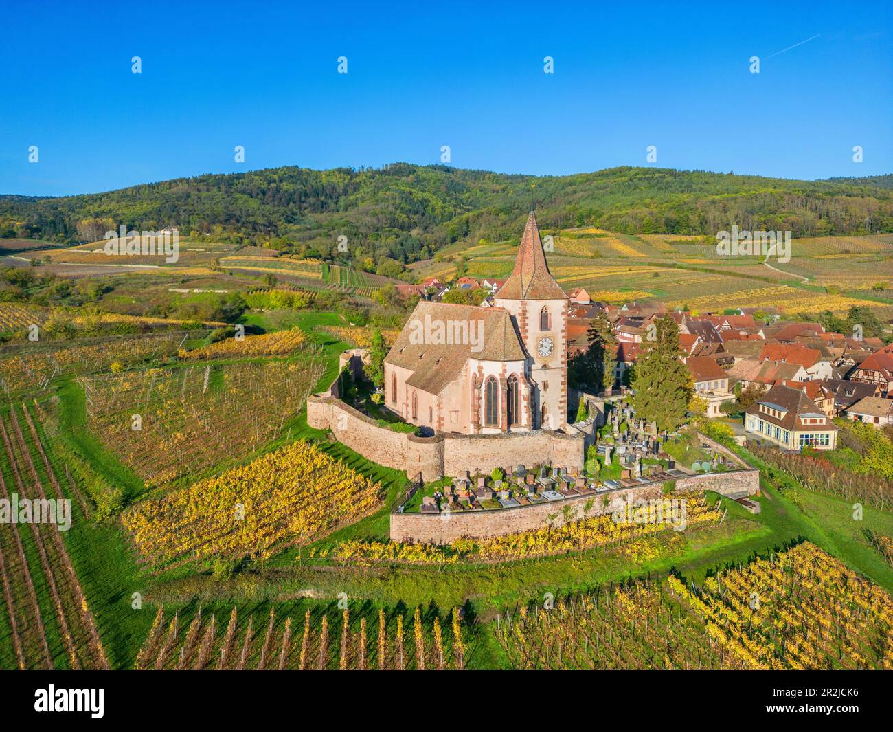 Weinbaudorf Hunawihr mit der befestigten Kirche St. Jacques, Hunawihr, Haut-Rhin, Route des Vins d'Alsace, Elsässer Weinstraße, Grand Est Stockfoto