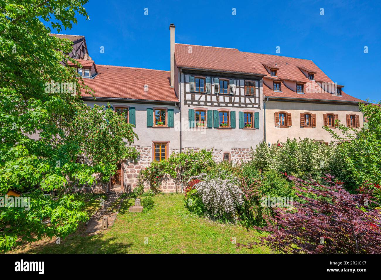 Fachwerkhaus in Riquewihr, Reichenweier, Haut-Rhin, Route des Vins d'Alsace, Elsass Weinstraße, Grand Est, Elsass-Champagne-Ardenne-Lothringen, F Stockfoto