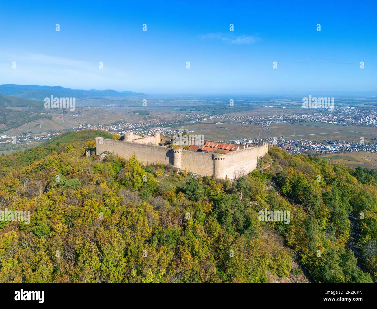Burgruinen Hohlandsberg bei Colmar, Haut-Rhin, Route des Vins d'Alsace, Elsass Weinstraße, Grand Est, Elsass-Champagne-Ardenne-Lothringen, Frankreich Stockfoto