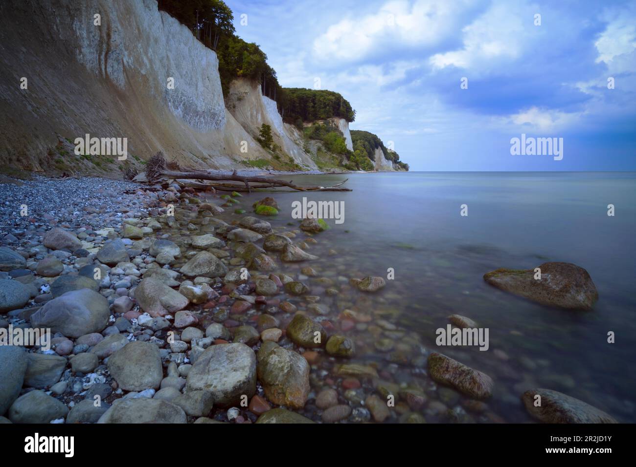 An den Kreideklippen auf der Insel Rügen. Stockfoto