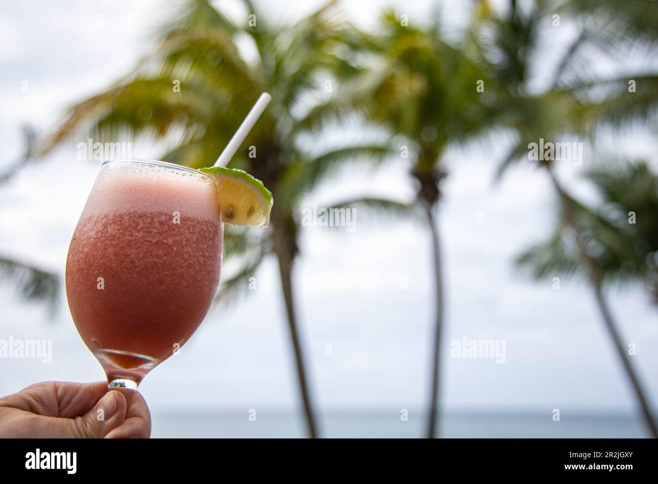 Obstpunsch aus nächster Nähe im Laluna Resort mit Kokospalmen dahinter, Morne Rouge, Saint George, Grenada, Karibik Stockfoto
