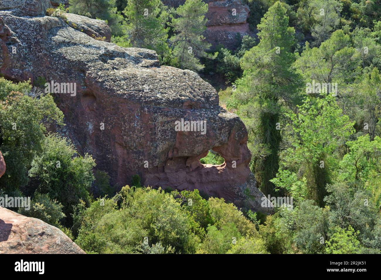 Naturgebiet von Els Racons in Falset in der Region Priorat, Provinz Tarragona, Katalonien, Spanien Stockfoto