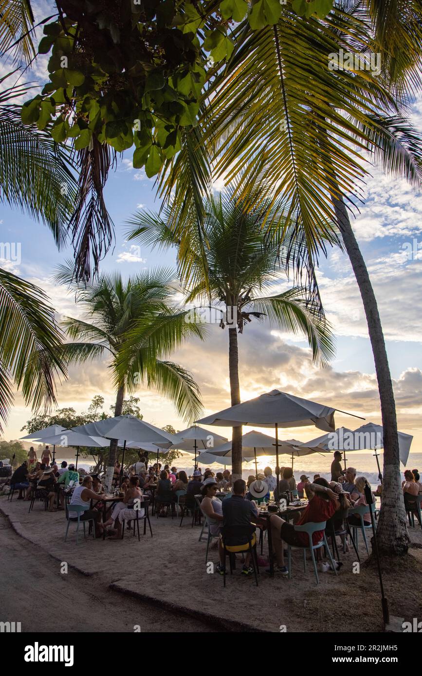 In der Coco Loco Bar am Flamingo Beach sitzen die Leute unter Kokosnussbäumen und genießen während der Happy Hour bei Sonnenuntergang, Playa Flamingo, Guanacaste, C. Stockfoto