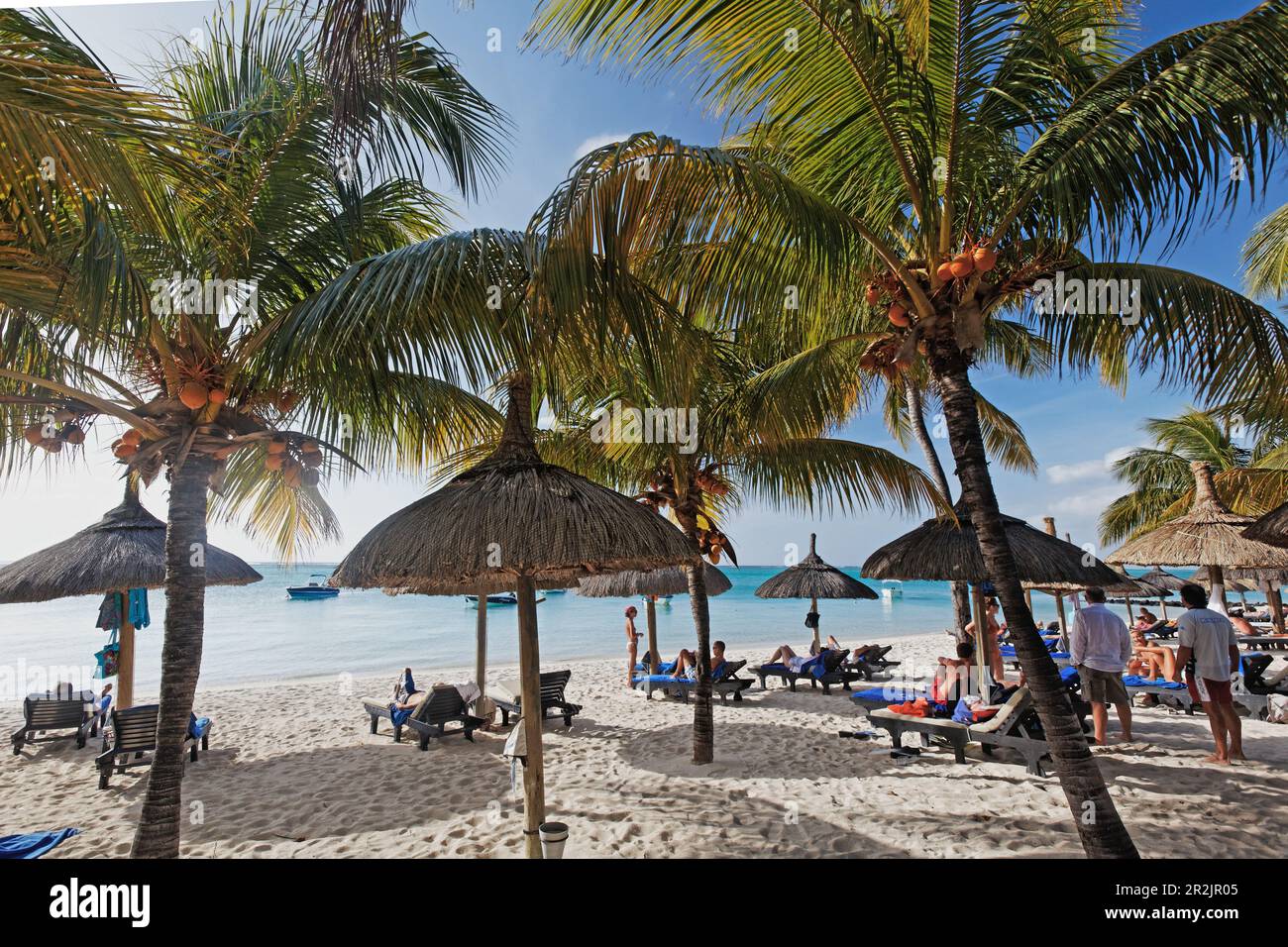 Palmen und Menschen am Strand von Beachcomber Hotel Paradis &amp; Golf Club, Mauritius, Afrika Stockfoto