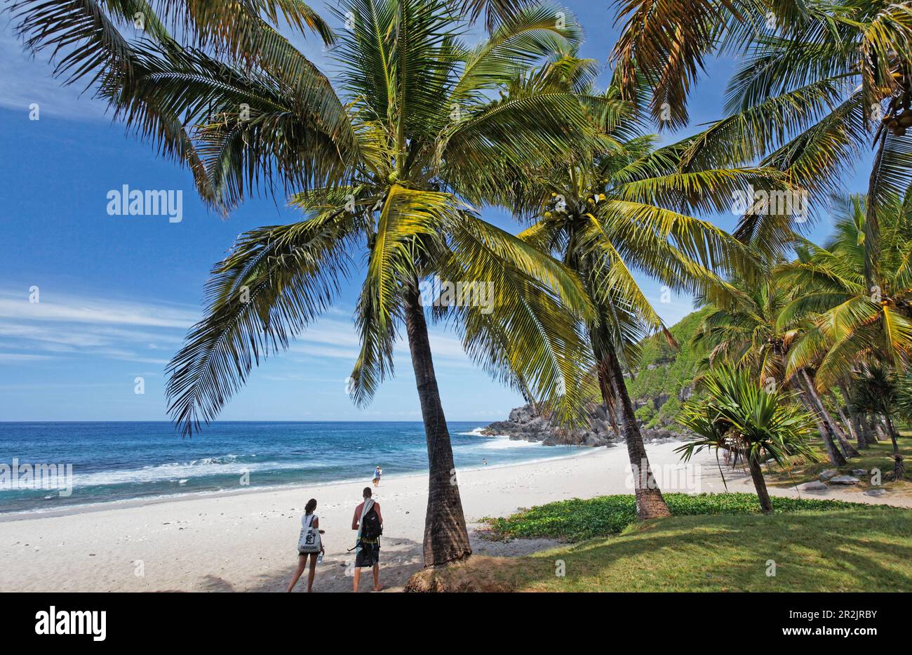 Palmen am Strand von Grand Anse Petite Ile, La Réunion, Indischer Ozean Stockfoto