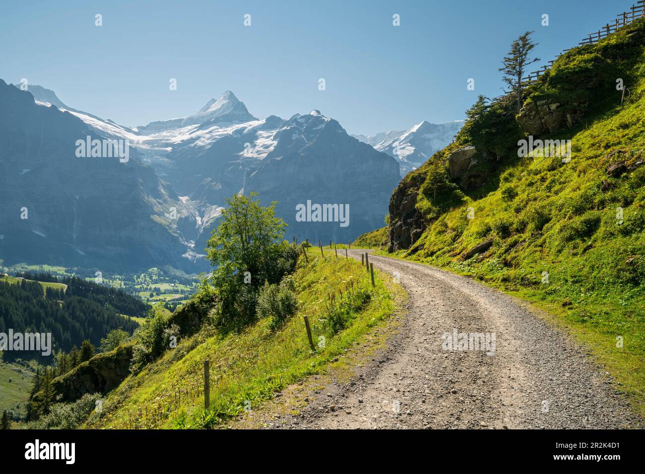 Schreck-, Grindelwald, Berner Oberland, Schweiz Stockfoto