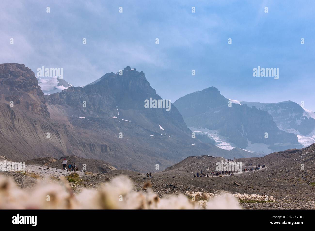Jasper National Park, Columbia Icefield; Athabasca Glacier; Glacier Trail, Stockfoto